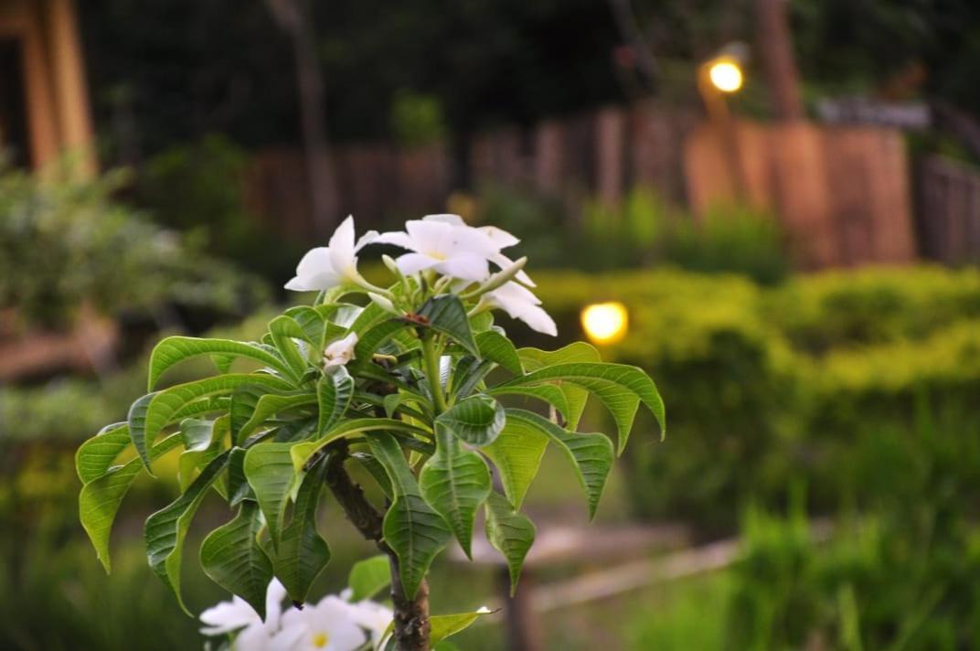 Pondok Guru Bakti Cottage Сенару Екстериор снимка
